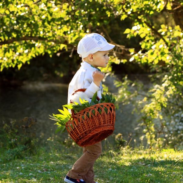 Home 21 Child Molestation Charges Against Norman Riemer Dropped, Reduced