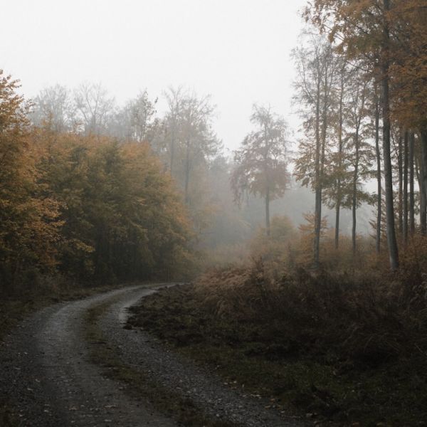 Home 17 WEATHER: Expect Thunderstorms For Next Several Days