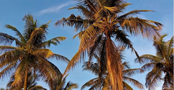 Home 42 72ee2117 Home