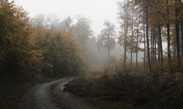 Home 28 WEATHER: Expect Thunderstorms For Next Several Days