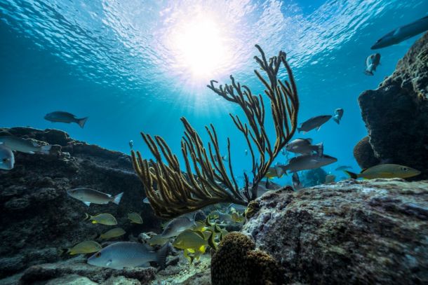 Home 47 9f77f77e Home