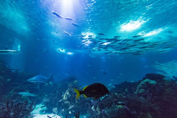 Home 44 d05884b5 Home